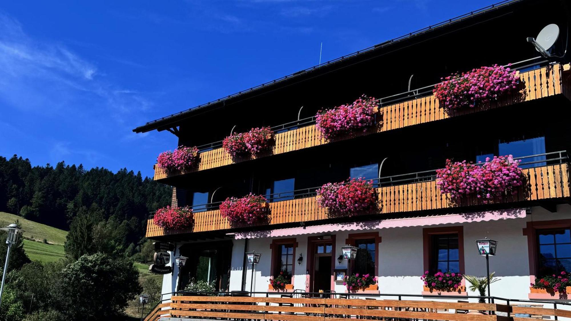 Boutique Hotel And Apartments Pension Sternen Todtmoos Esterno foto